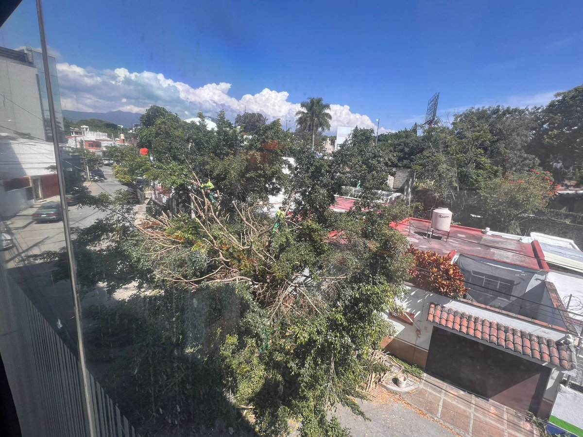 <a href="/linea_caliente_/">Línea Caliente Noticias</a> en Privada Ahuatepec Lomas de la Selva , se le ocurrió al H. Ayuntamiento de Cuernavaca <a href="/CuernavacaGob/">Municipio Cuernavaca</a> , tirar un arbolito que no le hacia daño a nadie, no sé si él señor <a href="/jluriosteguis/">José Luis Urióstegui</a> quiera dejar sin árboles la ciudad o cuál es su intención.