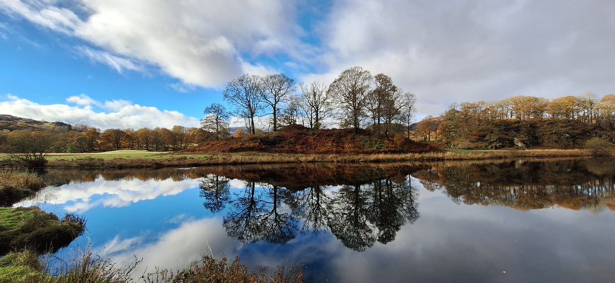 Liz Patching tweet media
