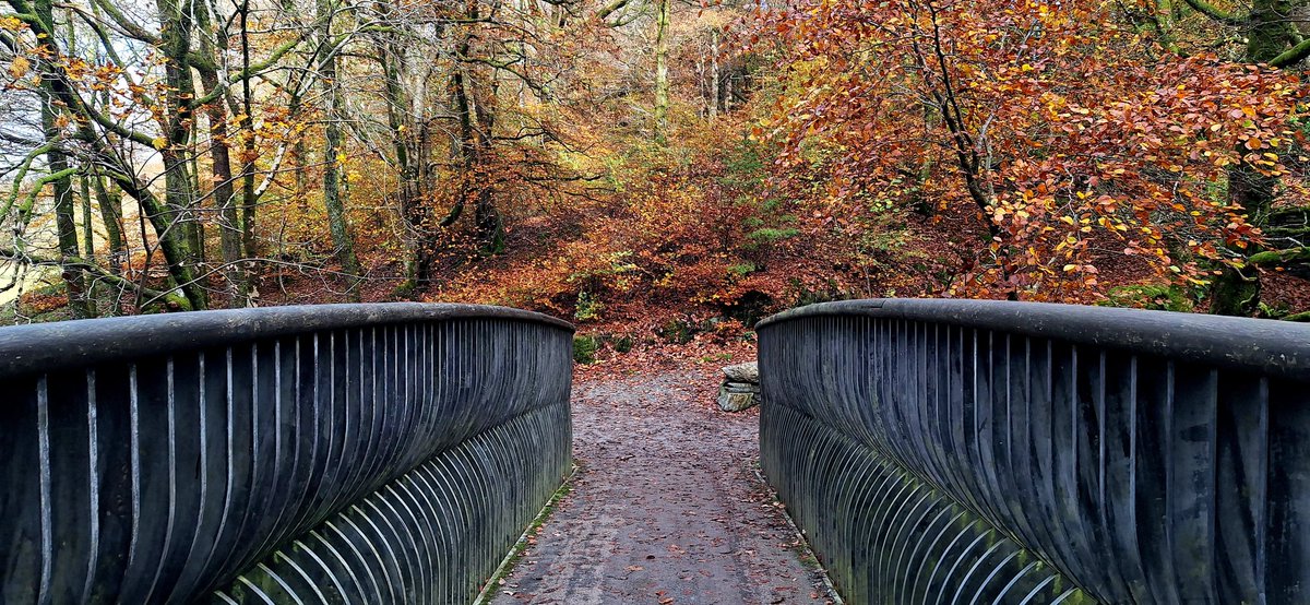 Liz Patching tweet media