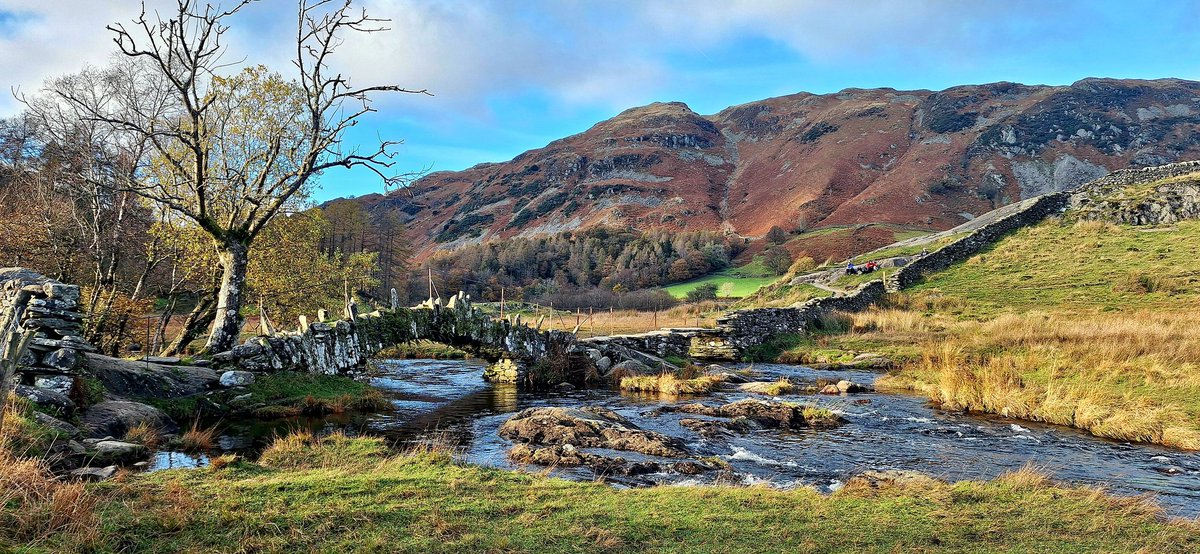 Liz Patching tweet media