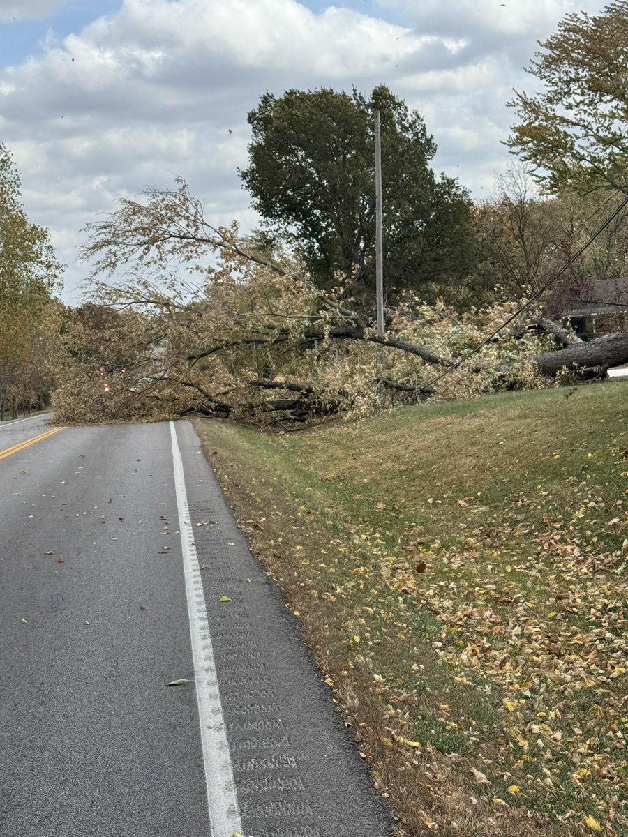 Crews currently have 58 Hwy closed between Prairie Lane and Ward Road due to a tree blocking the roadway. Appropriate utility crews have been requested to assist in clearing and getting the roadway opened.