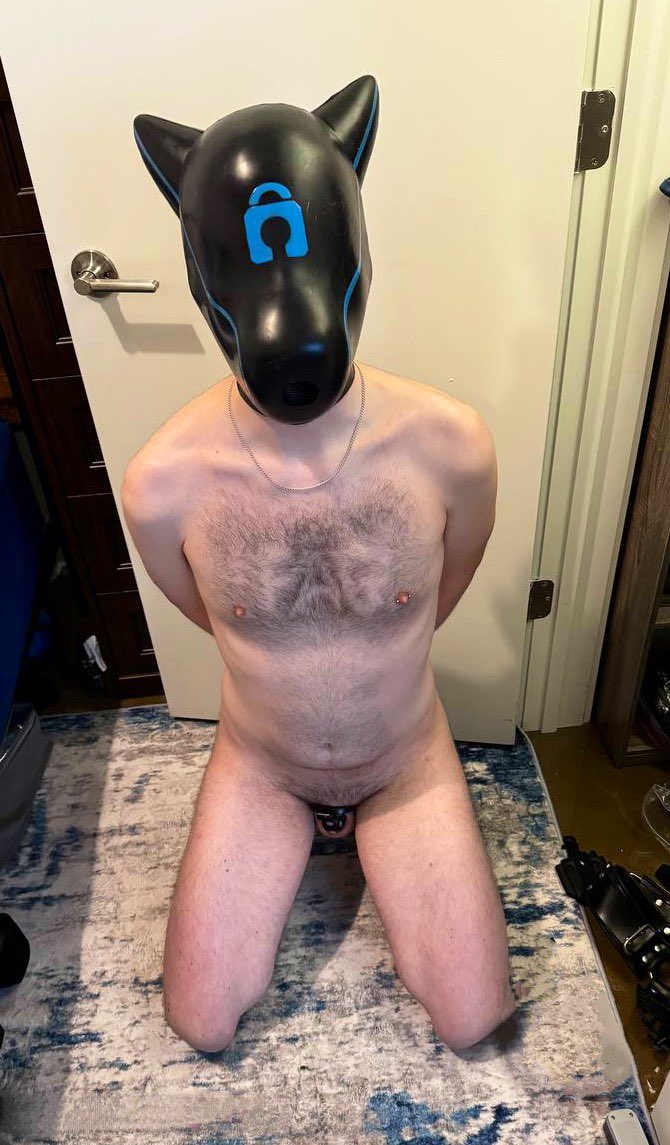 subboy021's tweet photo. ๐ตโ๐ซ๐ตโ๐ซ #notapup
๐ธ @Pup_Query https://t.co/DGciWefs4S