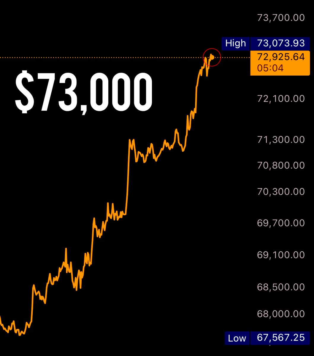 🔸BITCOIN BREAKS $73,000