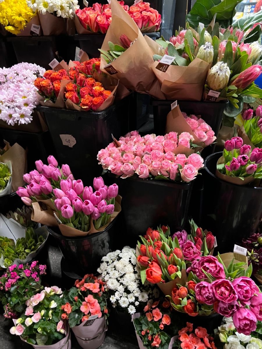 i3Moment's tweet photo. Flowers https://t.co/fU29eF9HOr