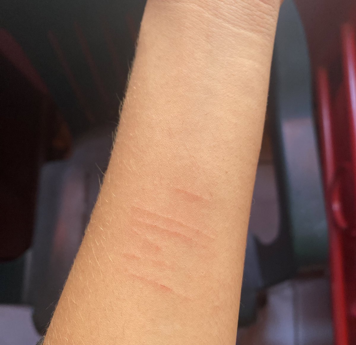 trastodoll's tweet photo. Yo en mi momento más shtwt https://t.co/gFlHQqz5uZ