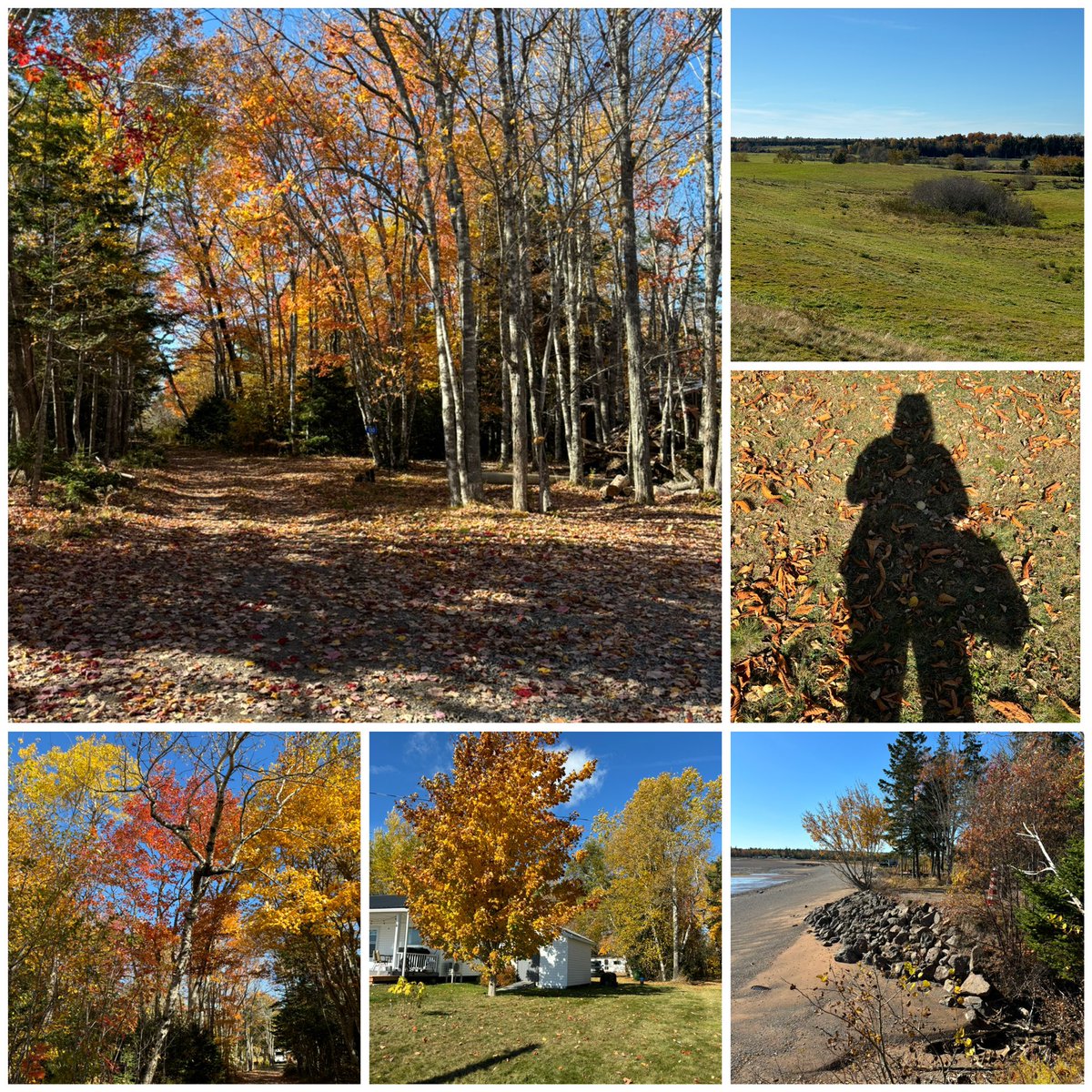 M. Berry-Khella tweet media