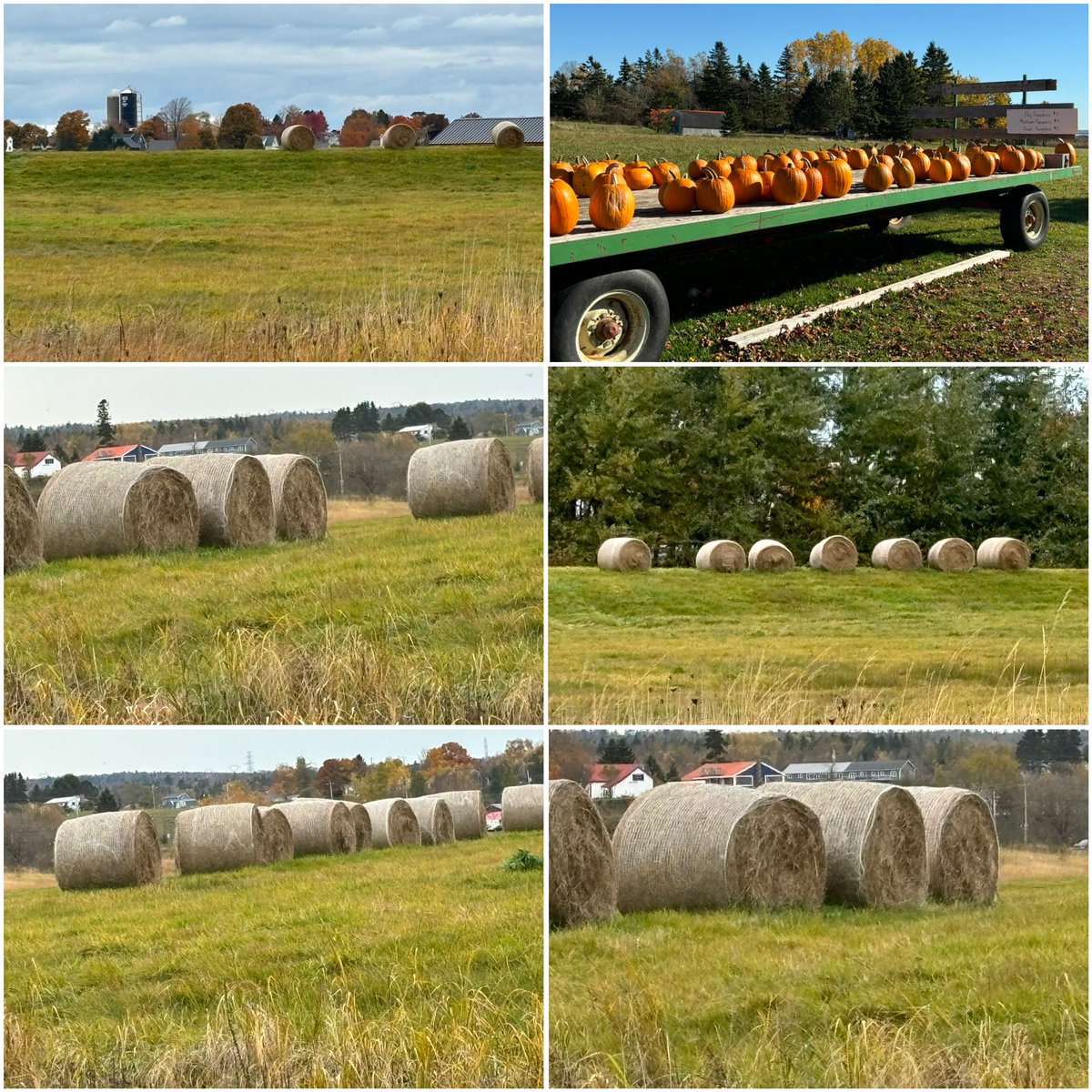 M. Berry-Khella tweet media