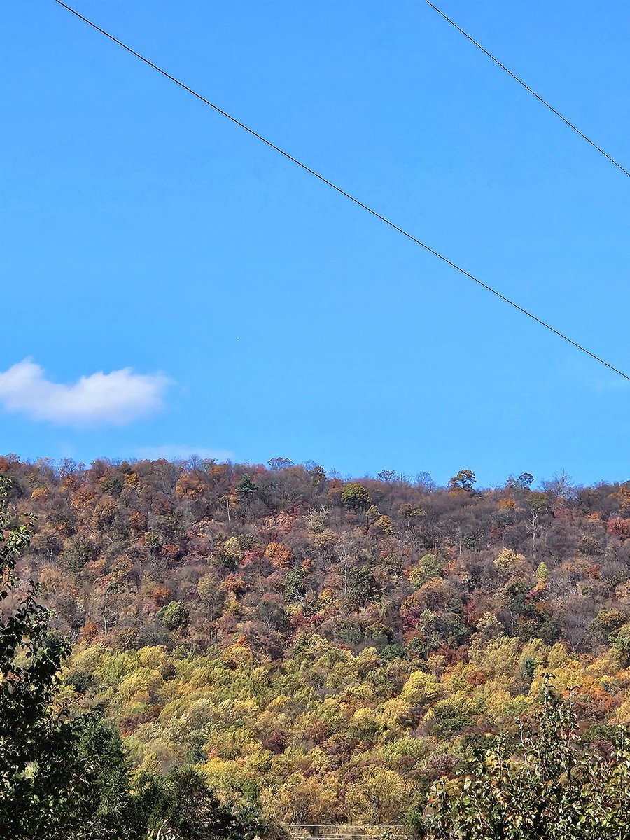 annielynnshea's tweet photo. It really is quite pretty where I live.
#ViewFromMyBackyard https://t.co/WRcjU0m3qU