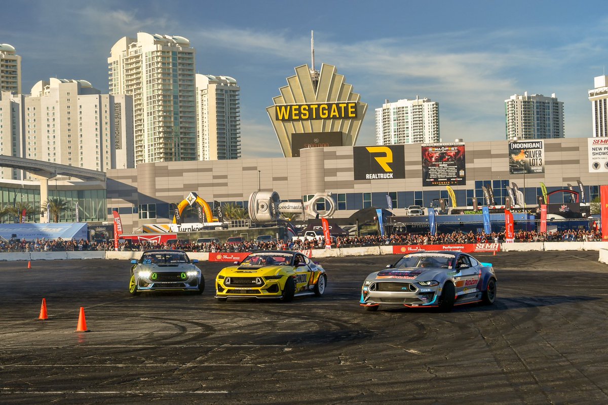 𝔻𝕒𝕟𝕚𝕖𝕝 𝔹𝕖𝕧𝕚𝕤 tweet media