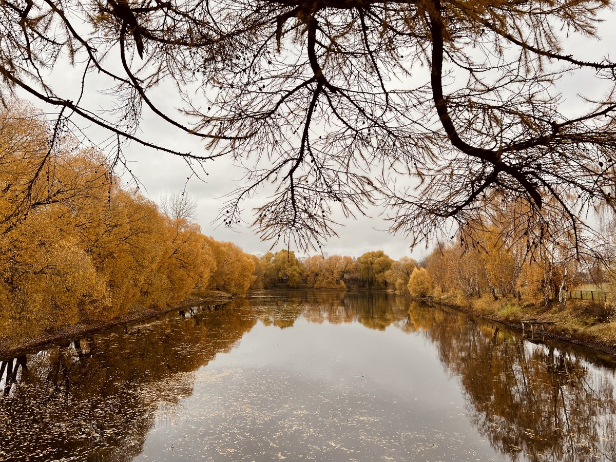 беспокойный 🅴 (@myrestlessbloom) on Twitter photo 