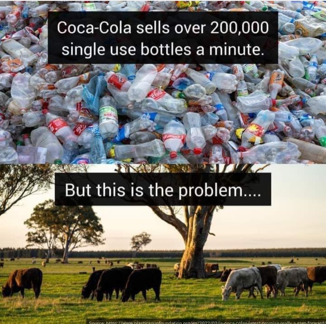 simonefreitas08's tweet image. #therealproblem