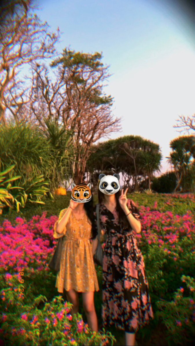 tebak aku yang mana 🐯🐼