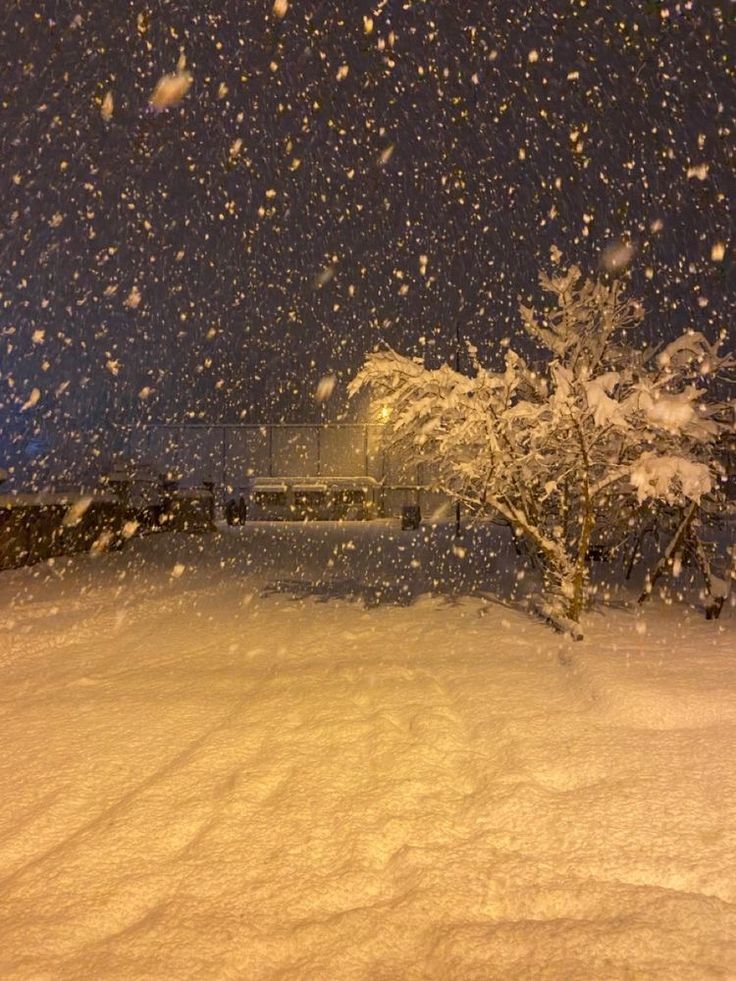 şöyle bir sakinlik (@soylebisakinlik) on Twitter photo 