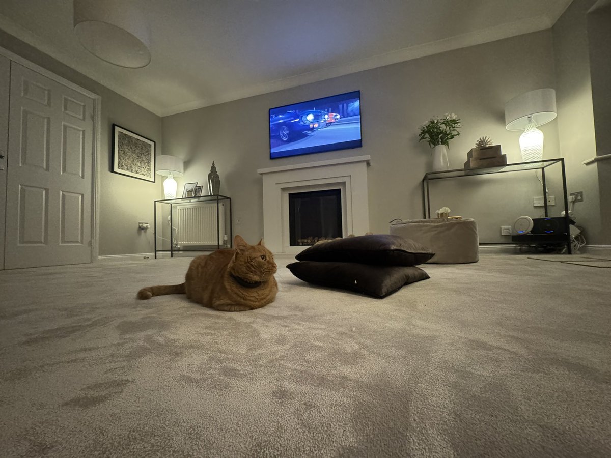 Rob Taylor tweet media