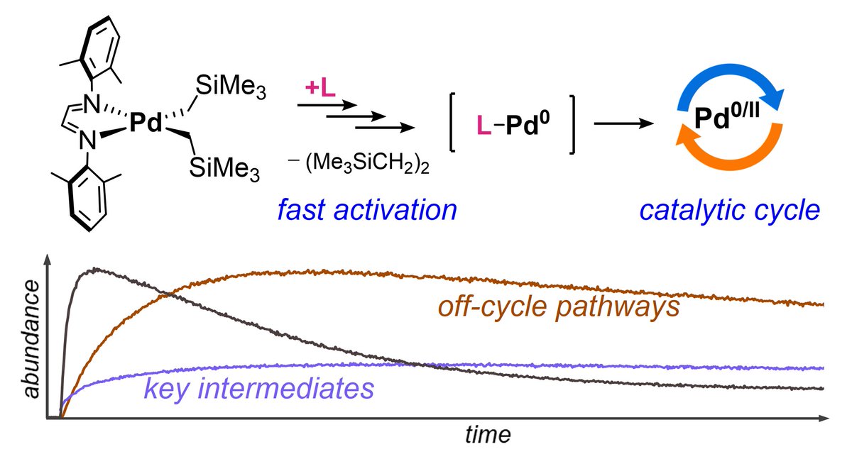 Ian C. Chagunda (@ian_chagunda) on Twitter photo Our latest preprint is on ChemRxiv! 🎉This was a super fun collaboration with <a href="/mcindoe/">Scott McIndoe</a> and <a href="/LeitchLab/">Dave Leitch and the Leitch Lab</a>, with help from undergad Antonia, where we explored the activation and oxidative addition mechanisms of the dialkyl Pd precatalyst (DAB)Pd(CH2SiMe3)2.🔗 t.ly/zYLzT Our latest preprint is on ChemRxiv! 🎉This was a super fun collaboration with <a href="/mcindoe/">Scott McIndoe</a> and <a href="/LeitchLab/">Dave Leitch and the Leitch Lab</a>, with help from undergad Antonia, where we explored the activation and oxidative addition mechanisms of the dialkyl Pd precatalyst (DAB)Pd(CH2SiMe3)2.🔗 t.ly/zYLzT