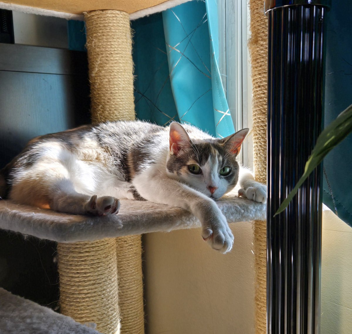 Tessachka 💙💛 tweet media