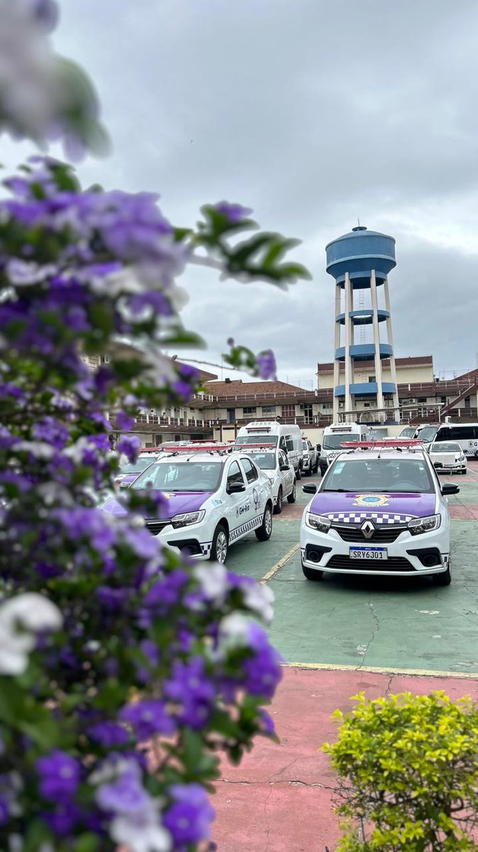GMRio's tweet image. Estamos na #Primavera, que para alguns é considerada a estação mais agradável do ano e também tempo de florescer! 

Na foto, temos uma bela flor lilás  a frente de viaturas da  Ronda #MariadaPenha, que ajuda mulheres a romperem ciclos de violência para florescerem para a vida!