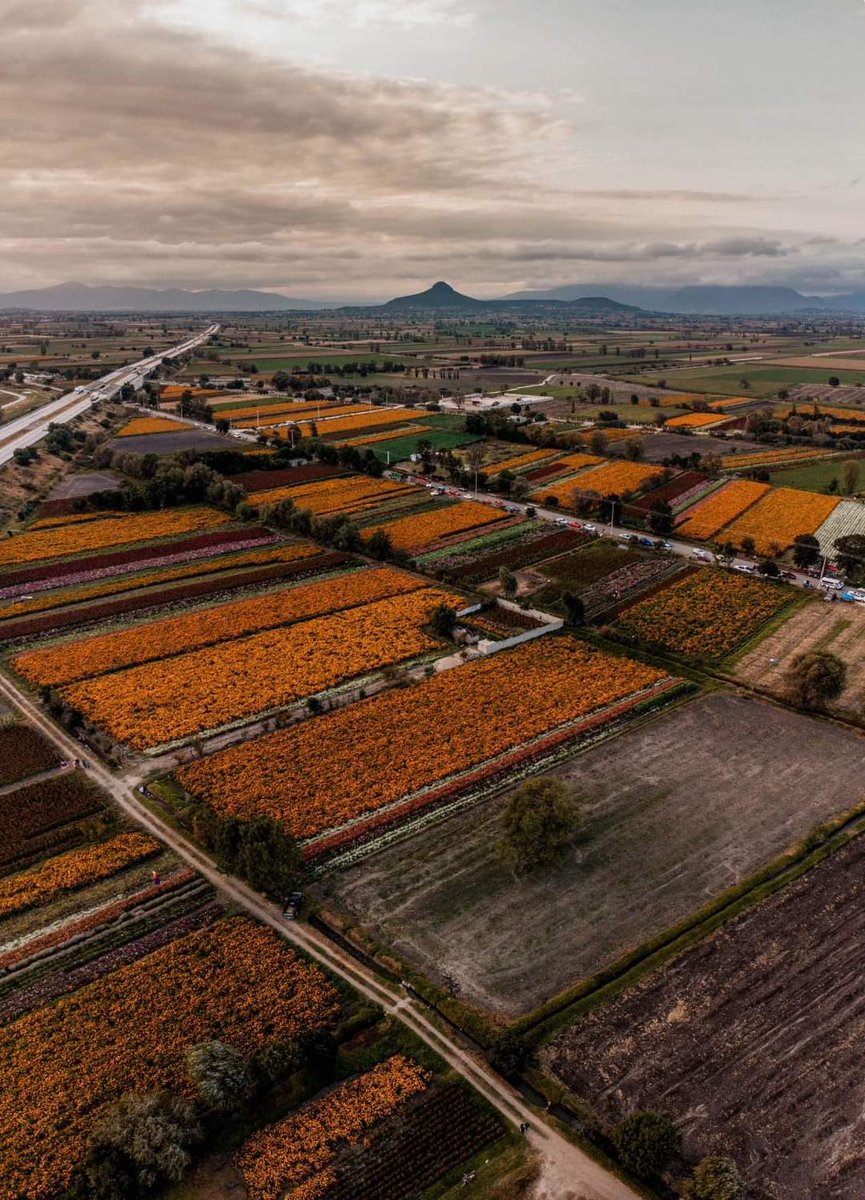 OscarP_H's tweet photo. Octubre en el Valle del Mezquital https://t.co/S3Zbo0KA5z