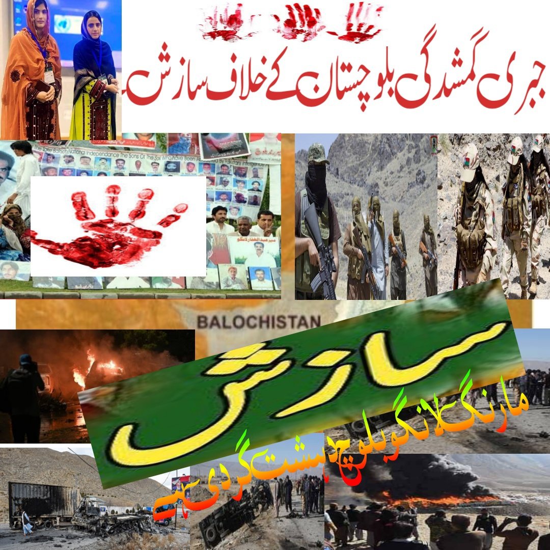 #مہارنگ لانگو بلوچ دہشت گردی ہے