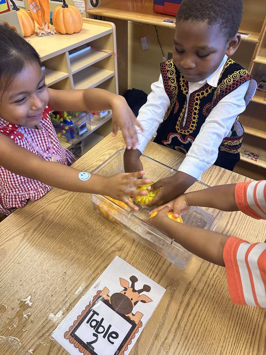 RCPS_EarlyLearn's tweet image. Pumpkin Sink or Float 🎃 #sinkorfloat #science #simplescience #pat #dph #preschool