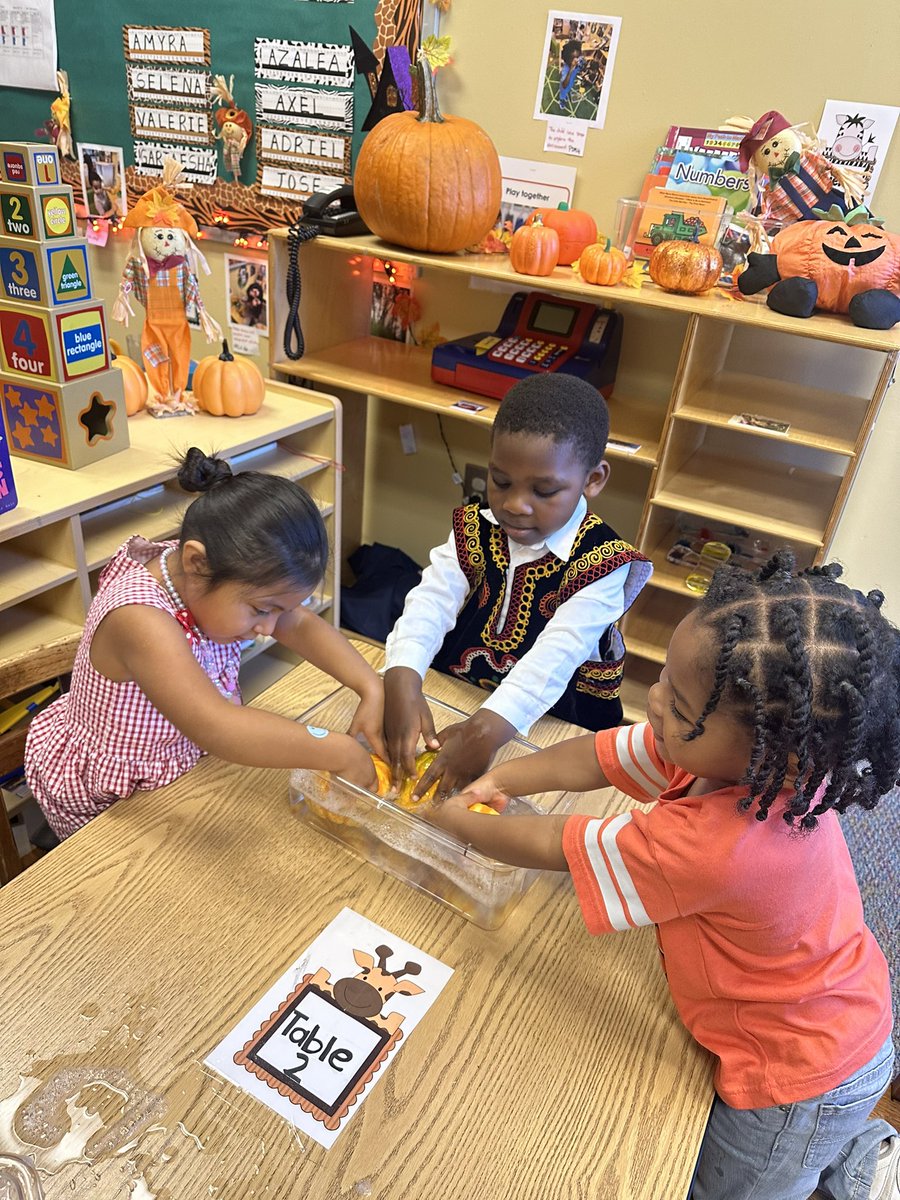 RCPS_EarlyLearn's tweet image. Pumpkin Sink or Float 🎃 #sinkorfloat #science #simplescience #pat #dph #preschool