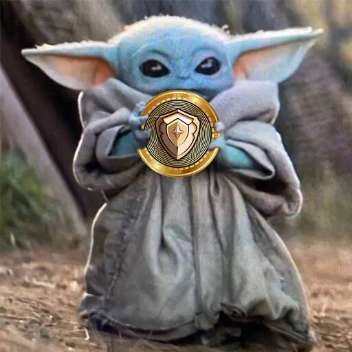 Brandon Hofer tweet media