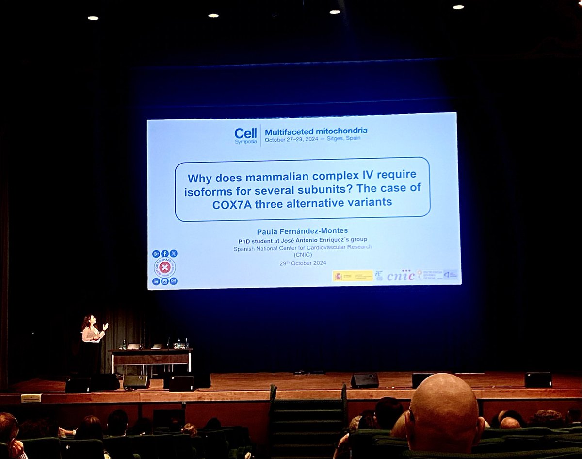 pfernandezmd's tweet photo. So honored to have the opportunity to share our project at #CSMito2024 ! @GenoxphosLab @CNIC_CARDIO 

Glad to have known so new many people! Huge thanks to the organizers @CellSymposia @Cell_Metabolism @CellPressNews @CellReports https://t.co/XB0cdhjhID