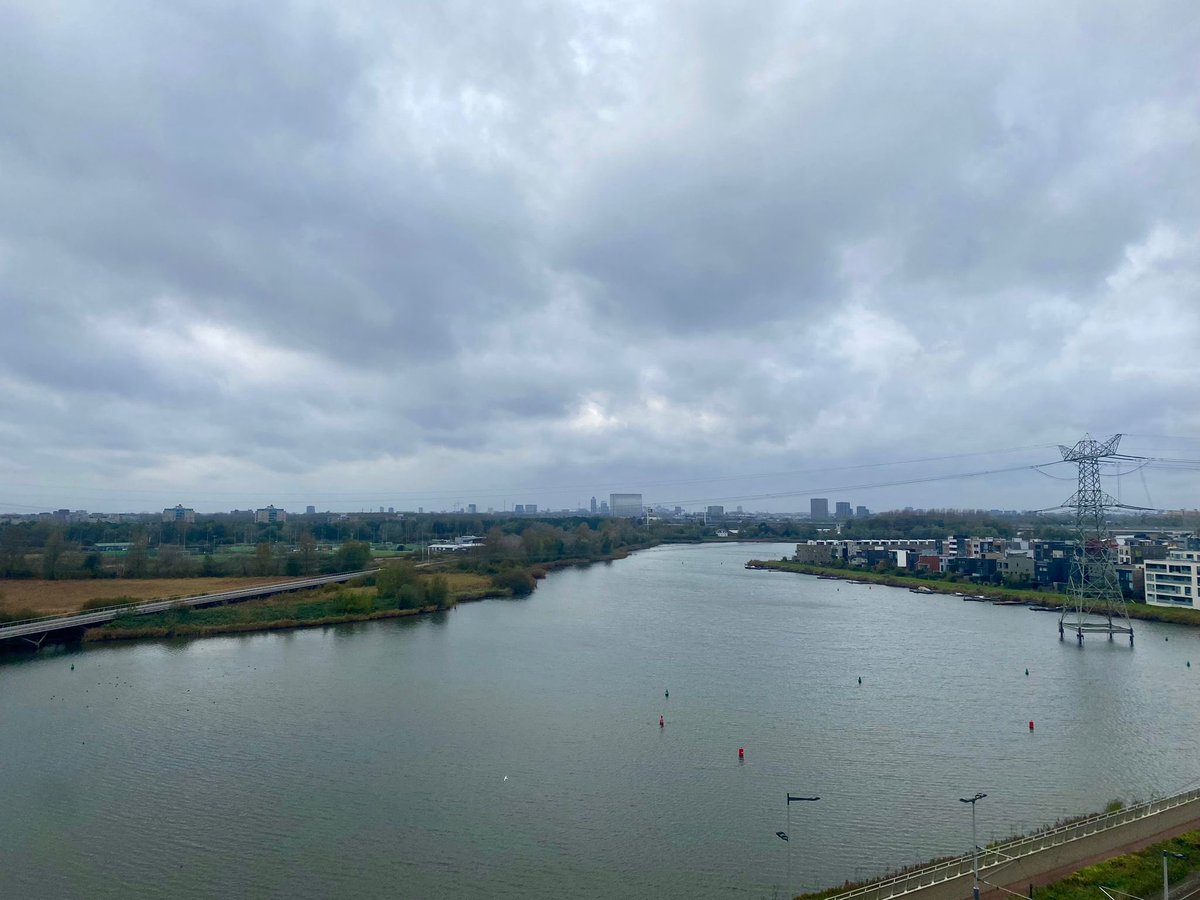 Michelle tweet media