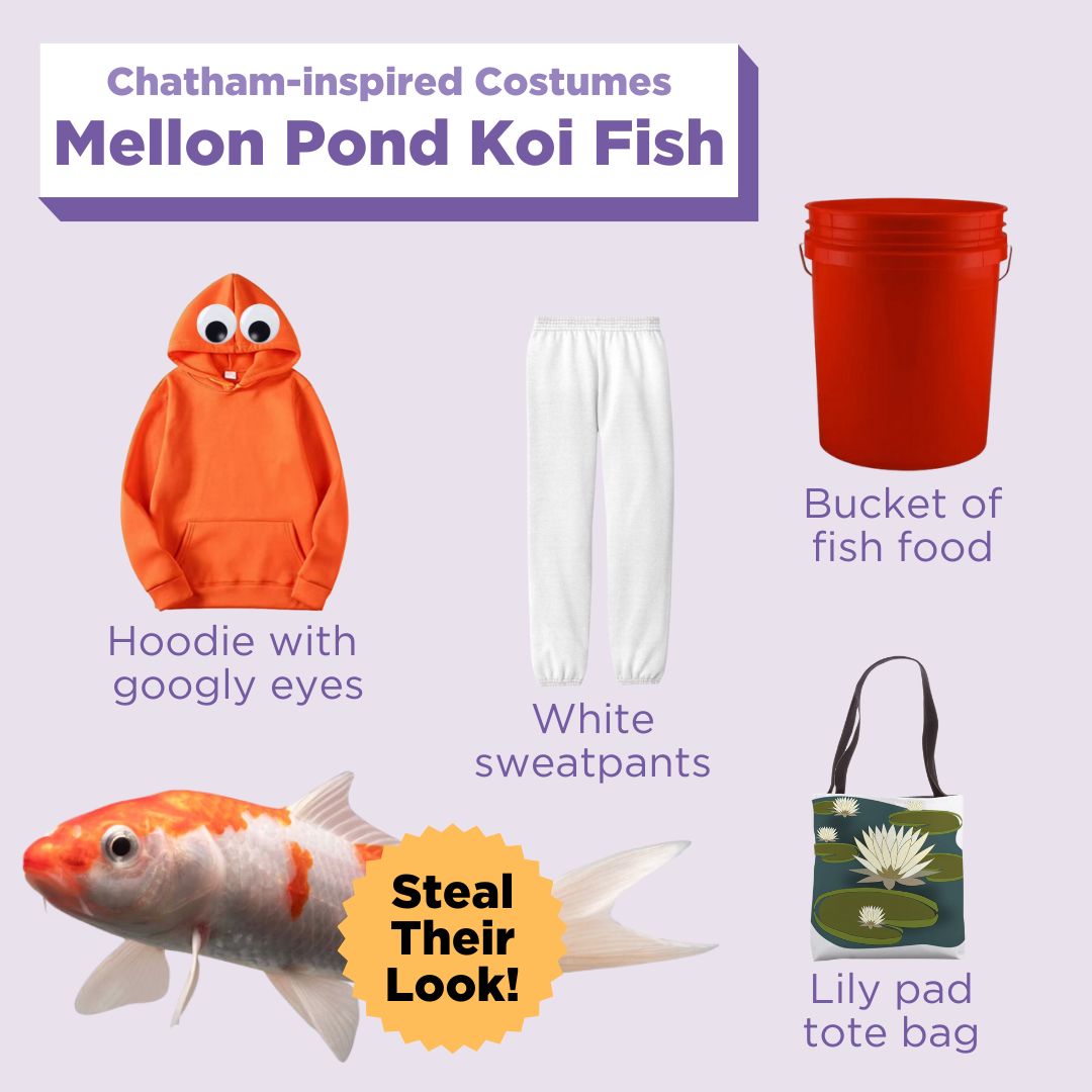 Chatham costumes so nice, we’re posting twice— it’s round two of #ChathamU Halloween costumes, with some favorites from last year + new additions, including loud squirrels, cute koi, and a very special lobster.

Part 1 of 3! 🎃🧵💜