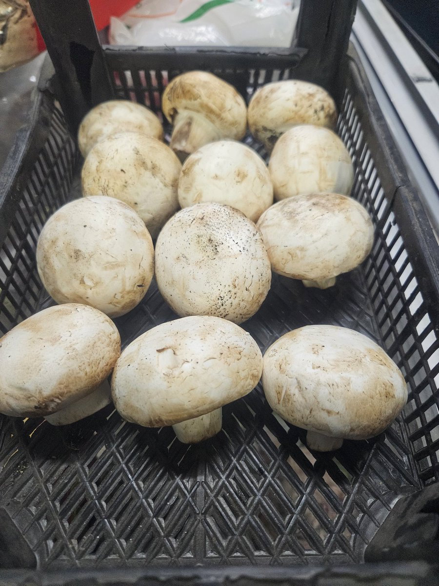 TOKİ'den  Şirin vatandaşlara uygun fiyatlı konut müjdesi...