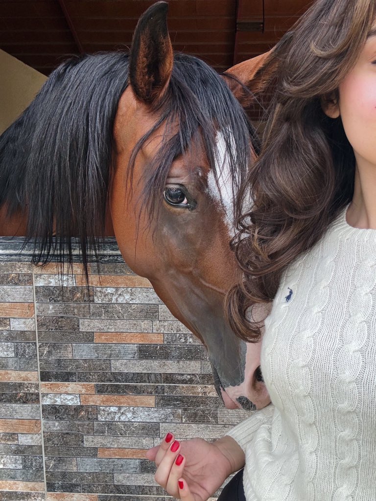 akamimaaa's tweet photo. A day in the stable 🤍! https://t.co/P88mp3W3vV