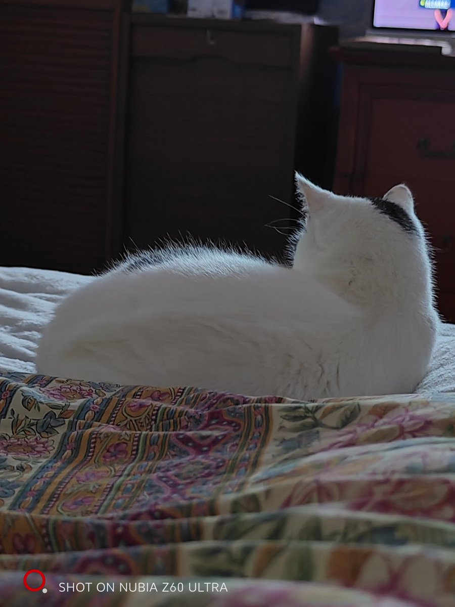 Coucou a tous 
Cool Teva
Bonne nuit