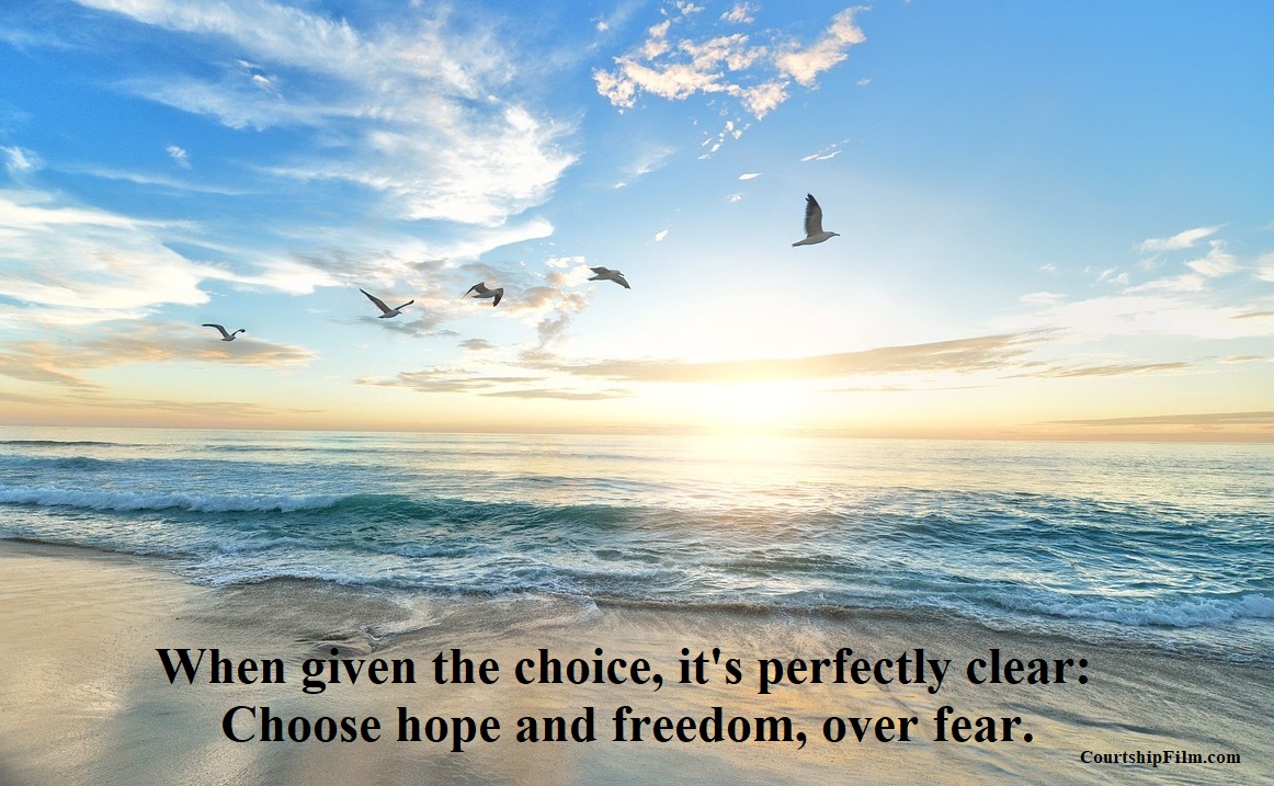 How to Successfully Fail in Hollywood (Funny Film) tweet media