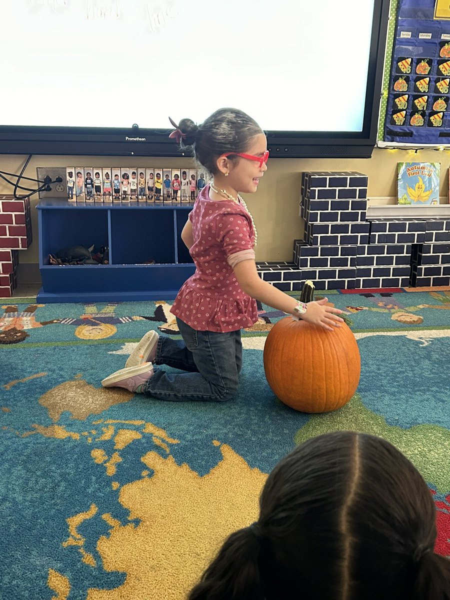 RCPS_EarlyLearn's tweet photo. Pumpkin exploration 🎃🎃🎃
#pumpkinexploration #pumpkin #science #math #prek https://t.co/mxExTOuwc3