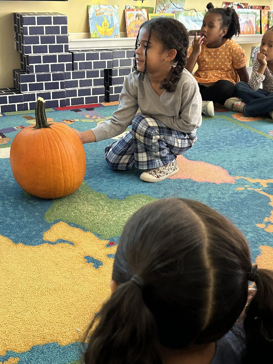 RCPS_EarlyLearn's tweet photo. Pumpkin exploration 🎃🎃🎃
#pumpkinexploration #pumpkin #science #math #prek https://t.co/mxExTOuwc3
