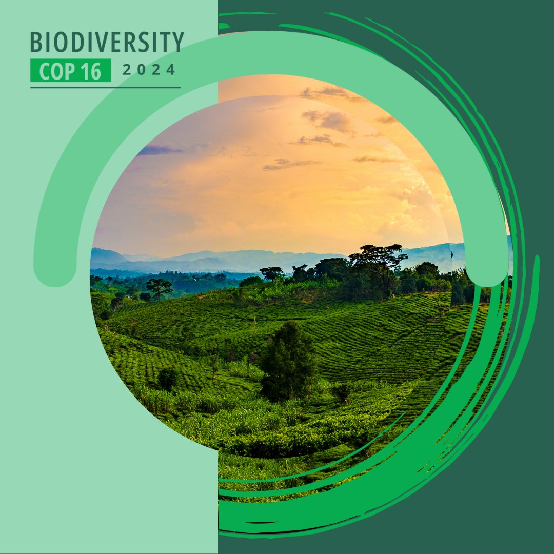 At the <a href="/WorldBank/">World Bank</a>, we are increasing our investments and enhancing analytics to help nations integrate nature into economic policies and development programs. Read our immersive story to learn more: wrld.bg/hsOw50TVMV2 | #COP16Colombia