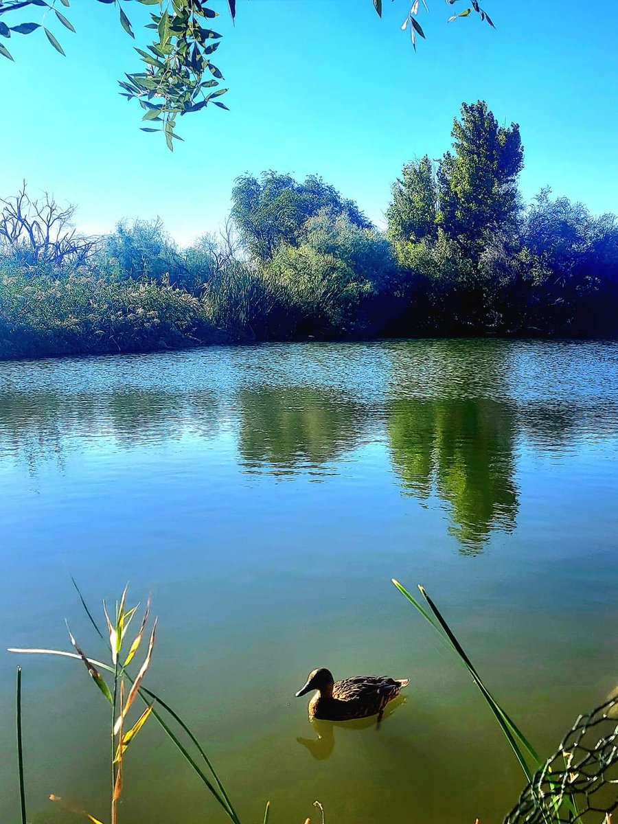 alexander harper (@alexanderh41691) on Twitter photo 