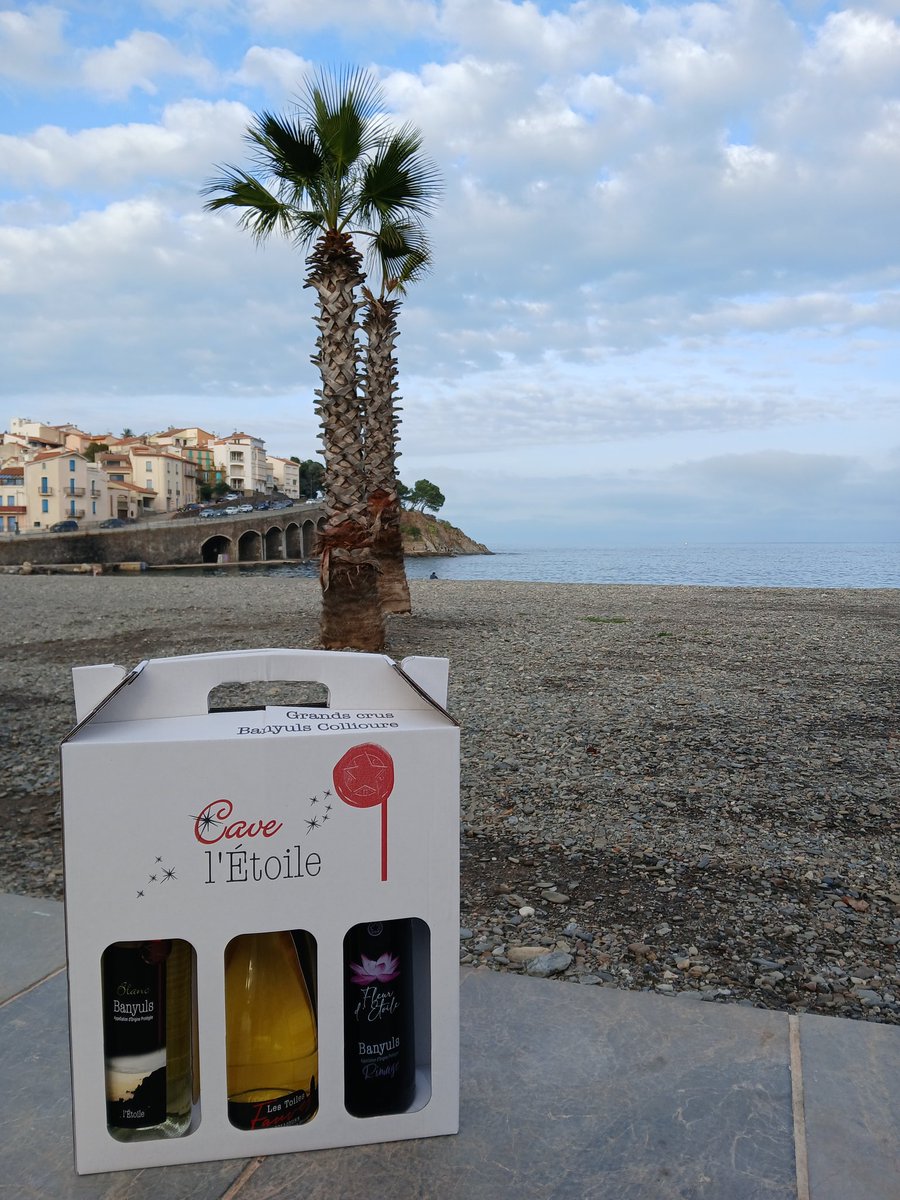ElodieBouch's tweet photo. Quelle joie de revenir après 6ans à la #CavelEtoile à #Banyulssurmer où j'avais travaillé, et de retrouver l'accueil exceptionnel de M. Centene, Président, et ses #vins de qualité 🍇 #viticulture #oenotourisme #cepagecatalan #Collioure https://t.co/AxnzBC18az