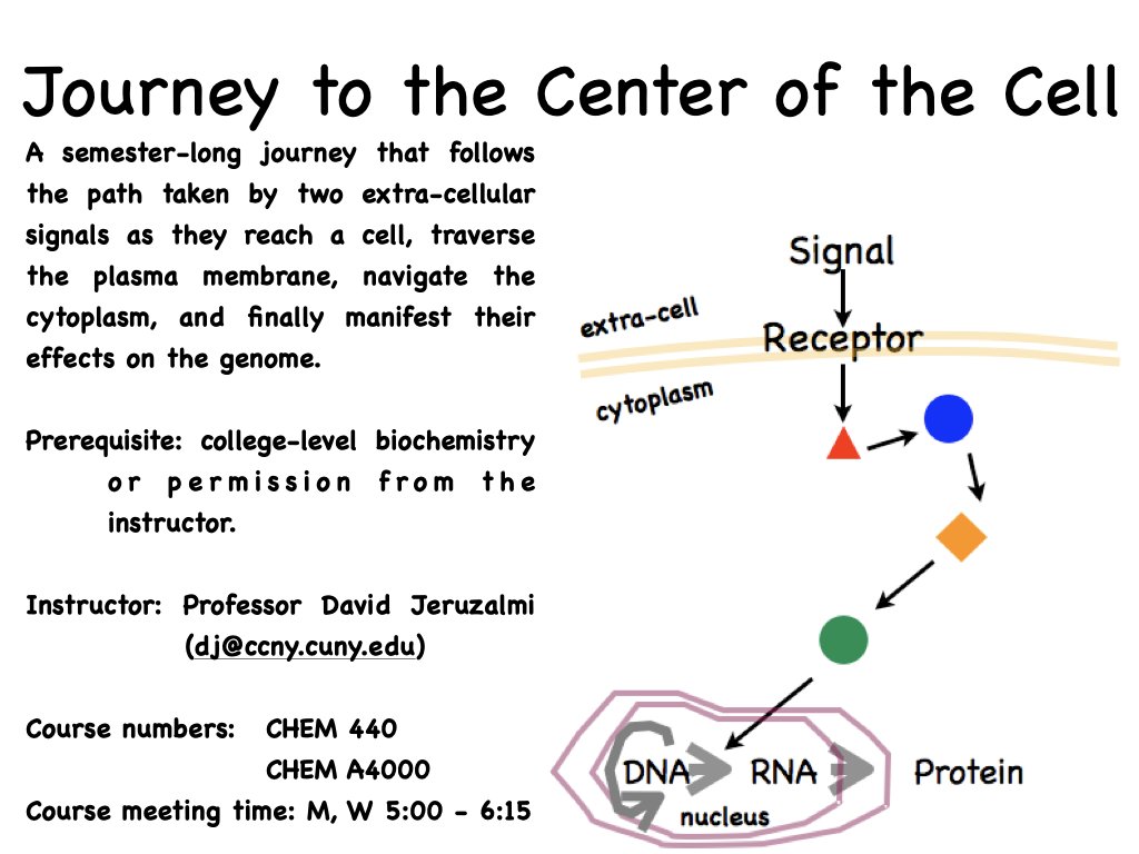 CCNYChem's tweet photo. Join the "Journey to the Center of the Cell" next semester!  Register for Chem 44000 for undergrads or Chem A4000 for Masters starting tomorrow! @CityCollegeNY #Chemistry #Biochemistry #Biology #Cell #Spring2025 https://t.co/69bJQTt392