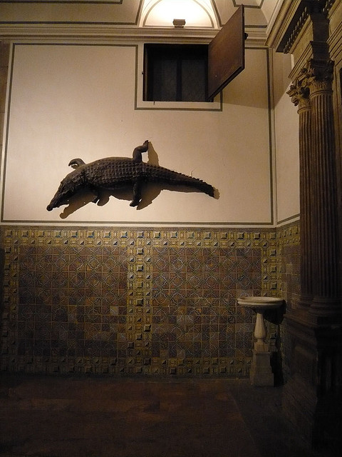 Paloma Carmen Castillo González tweet media