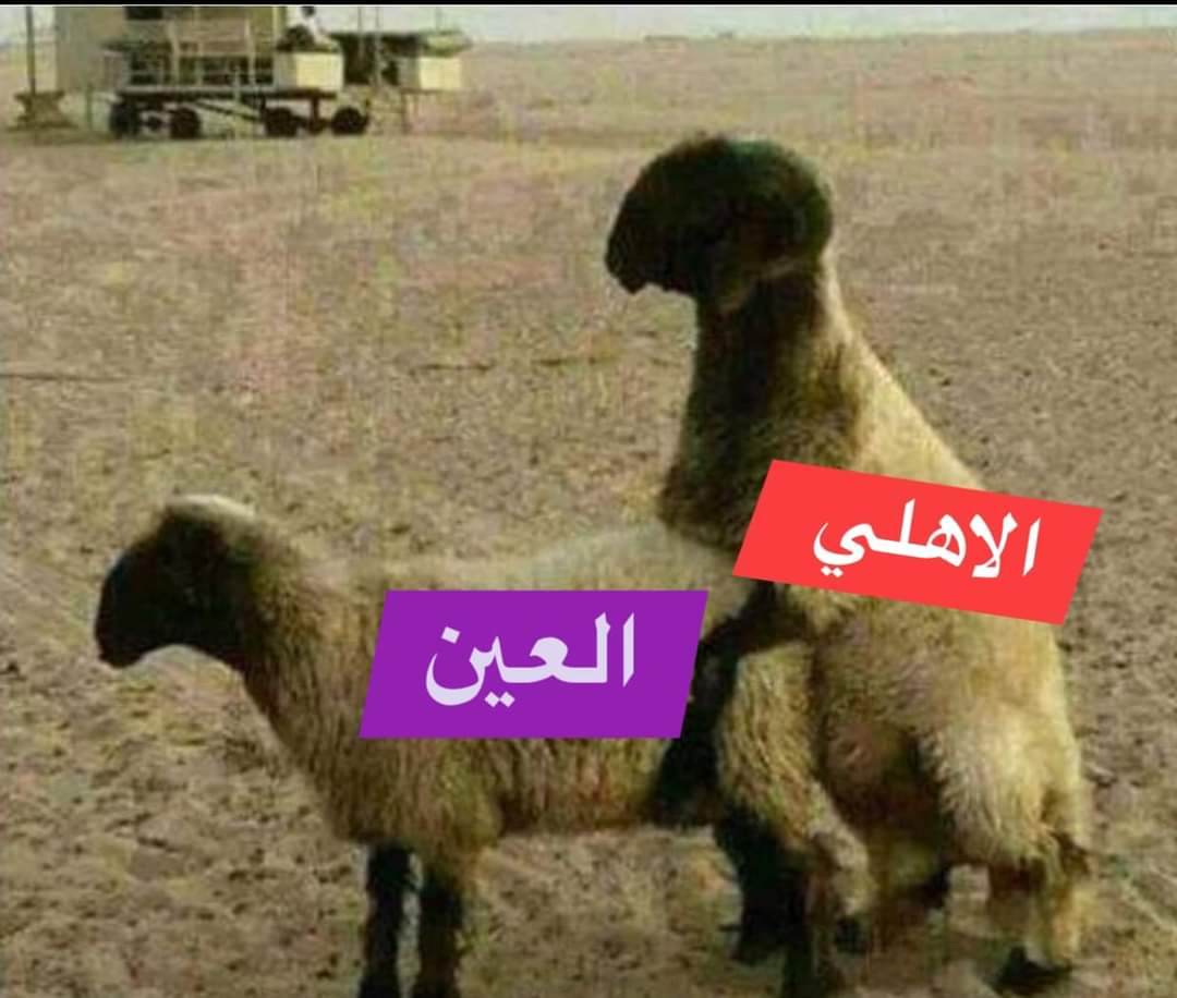 Ali___elkady's tweet photo. @bt3 الاهلى عمل واحد مع العين 😂 https://t.co/ExAq4s31Nc