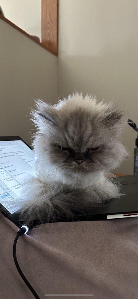 DelaneyGirl's tweet photo. My co-worker . https://t.co/Vt1ROkmHiK