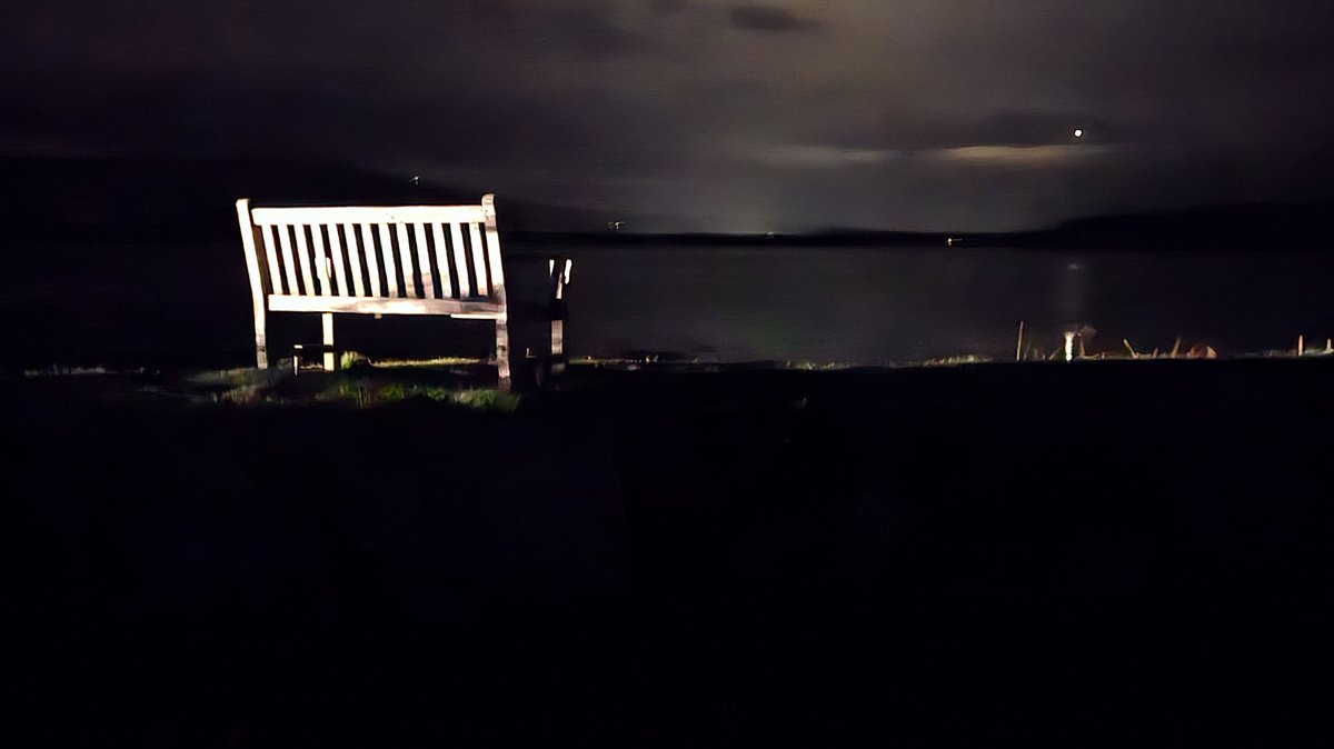 BrendaR 🐦 tweet media