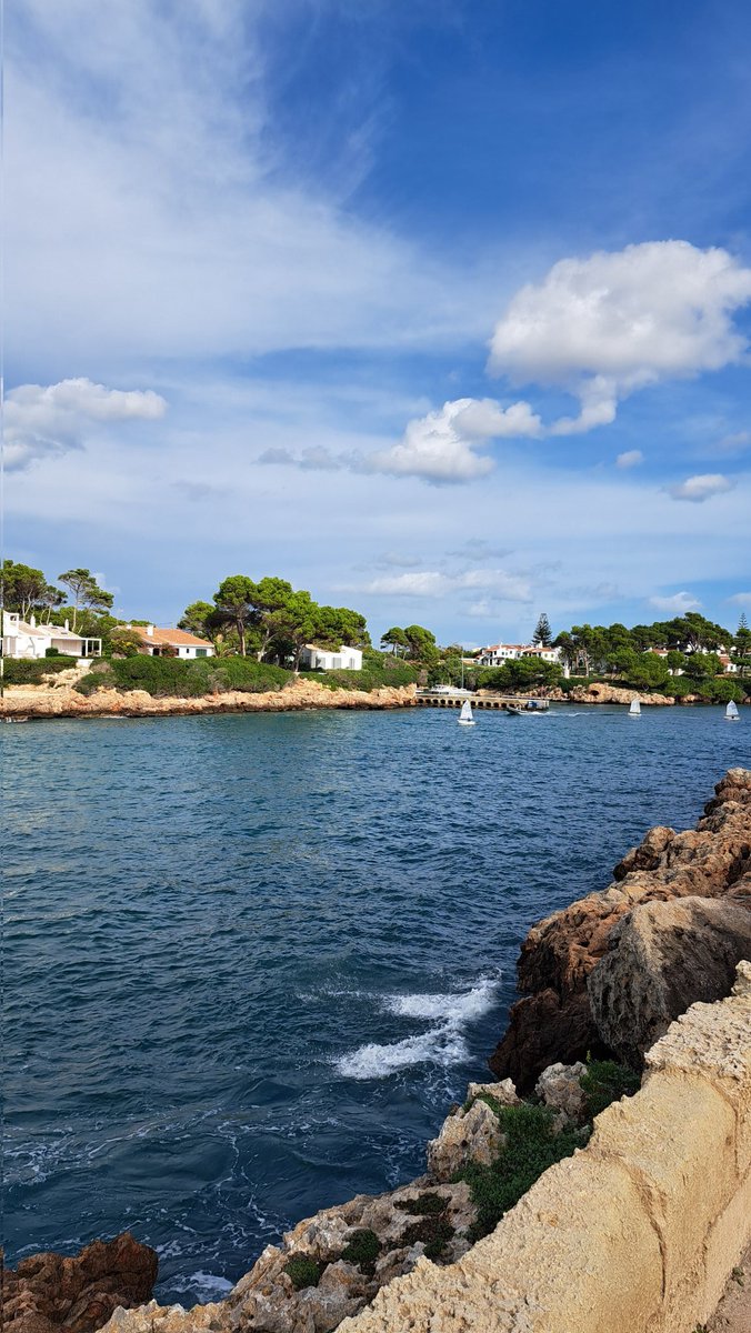 MarkFoster.MF tweet media