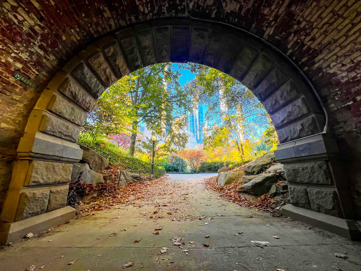 gigi_nyc's tweet photo. Looking through the Inscope Arch @CentralParkNYC #NYC
#FallforNYC #NYLovesFall πππ https://t.co/uFMOjqeiwb