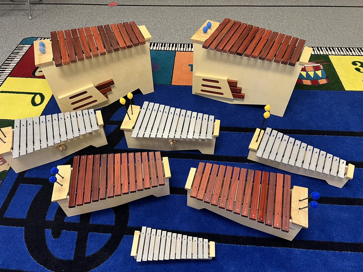 Halie Carden tweet media