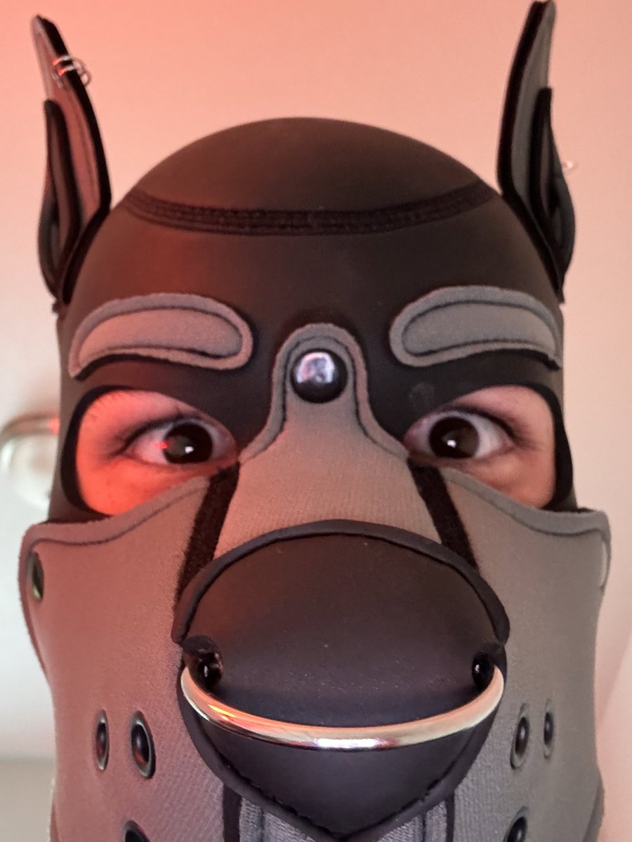 PupCal tweet media