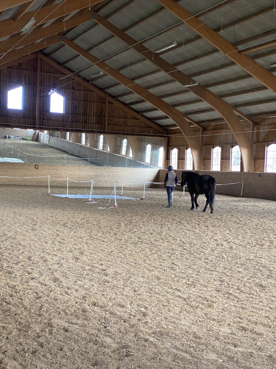 Maria Vilain Rørvang (@mariarorvang) on Twitter photo The last horses went through our reactivity test battery today in #smellslikewelfare We are in the last week of the experiment and tomorrow we start testing the horses in the #judgementbiastest 🐴
<a href="/JohannaStenfelt/">Johanna Stenfelt</a> <a href="/RebeccaGrut/">Rebecca Grut</a> The last horses went through our reactivity test battery today in #smellslikewelfare We are in the last week of the experiment and tomorrow we start testing the horses in the #judgementbiastest 🐴
<a href="/JohannaStenfelt/">Johanna Stenfelt</a> <a href="/RebeccaGrut/">Rebecca Grut</a>