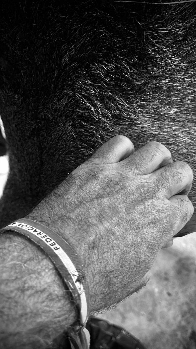 𝐀𝐧𝐭𝐨𝐧𝐢𝐨 𝐆𝐚𝐥𝐥𝐚𝐫𝐝𝐨 tweet media