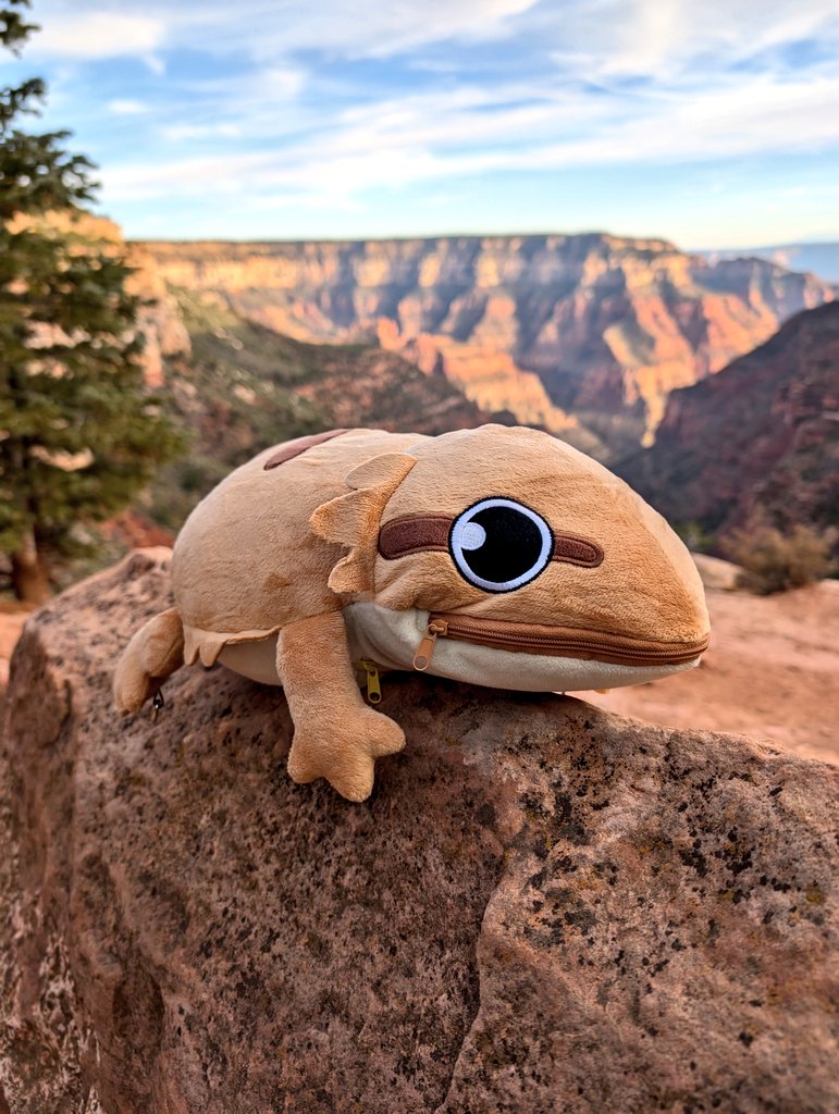 Official_Derptiles tweet media